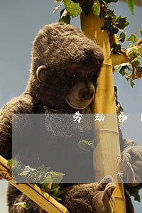 劳动合同法  保险
